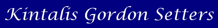 KINTALIS GORDON SETTERS